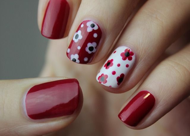 Nail trimming and paw care gallery image with neat grooming detail